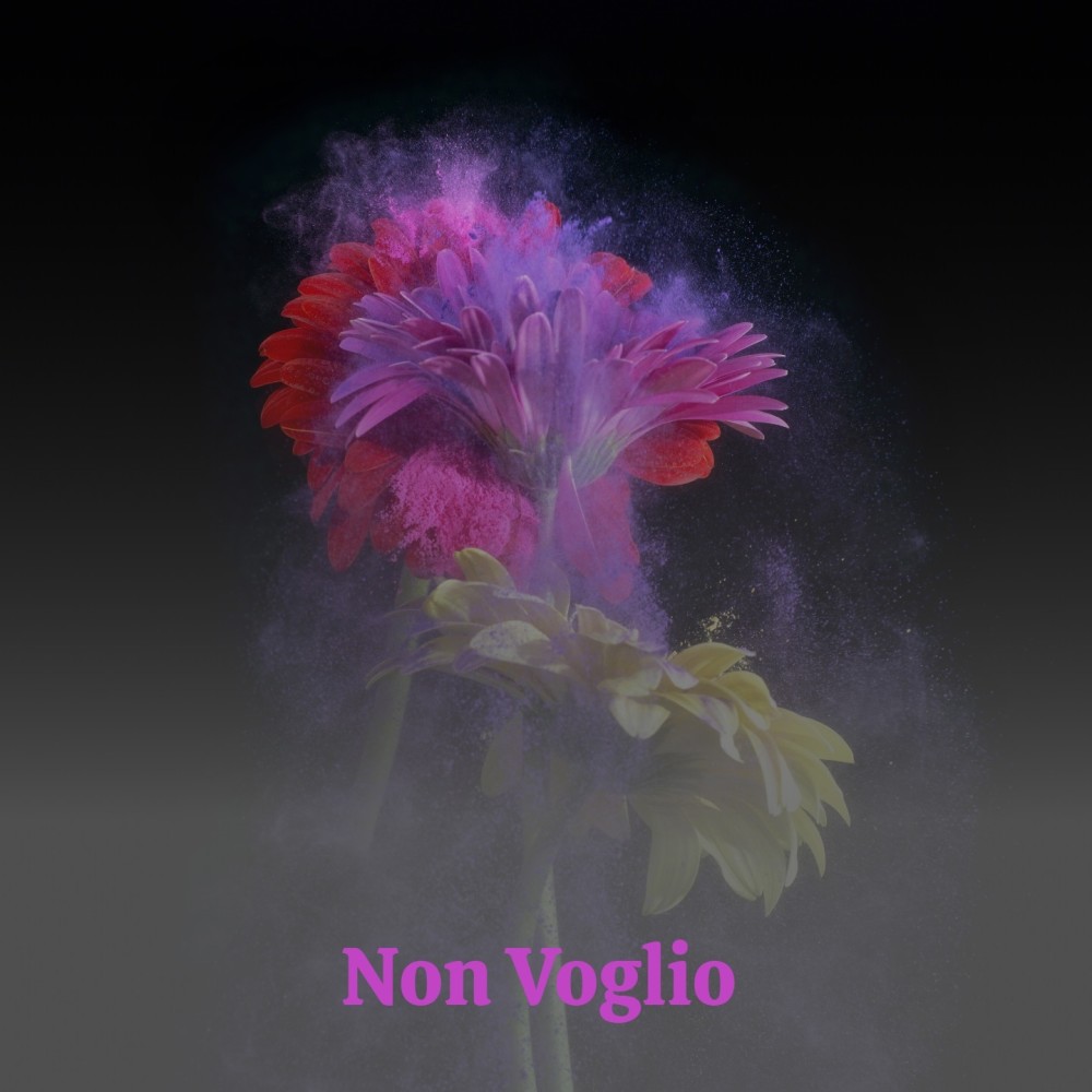 Non Voglio Innamorarmi Di Te
