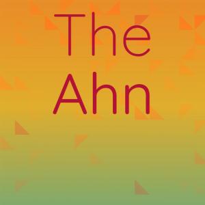 Various Artists的專輯The Ahn