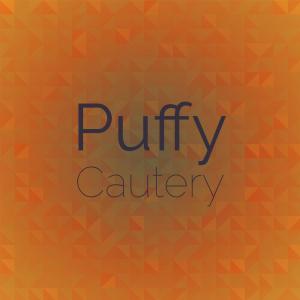 Various Artists的專輯Puffy Cautery