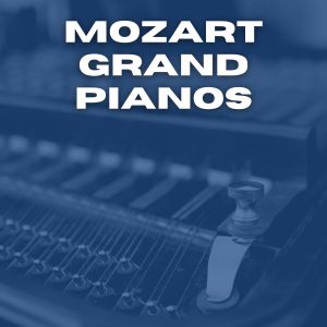 Listen to Piano Concerto No. 20 , In D Minor K. 466 : II. Romance song with lyrics from Clara Haskil