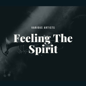 Listen to Feeling Drowsy (Alternative Version) song with lyrics from Henry Allen