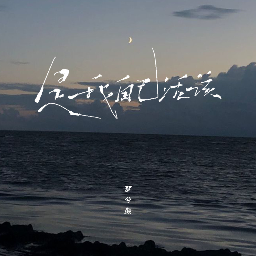 是我自己活该 (DJ彭锐版)