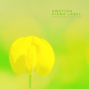 อัลบัม Healing Piano Collection ศิลปิน Whale Whale