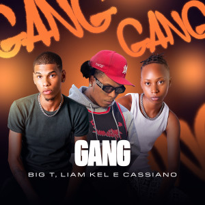 Liam Kel的專輯Gang (Explicit)
