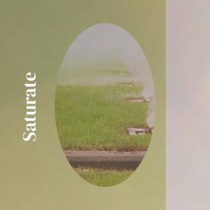 收聽Lionie的Saturate歌詞歌曲