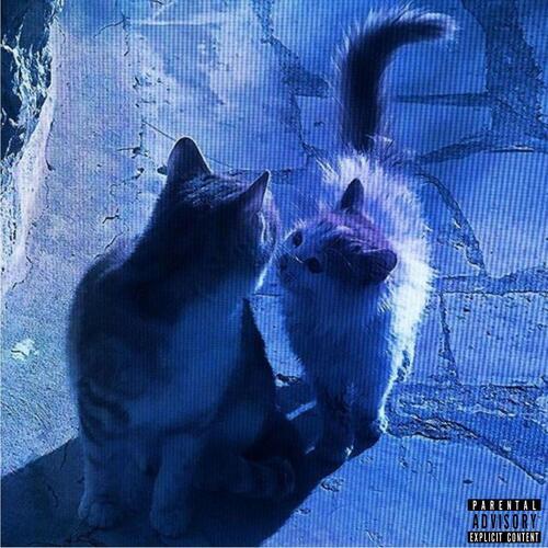 Котики (prod. by кодокуна, probelad|Explicit)