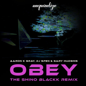 ดาวน์โหลดและฟังเพลง Obey (Shino Blackk Remix) พร้อมเนื้อเพลงจาก Aaron K. Gray