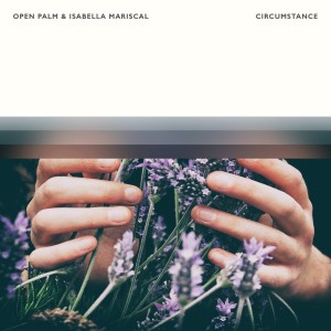Listen to Circumstance song with lyrics from Open Palm