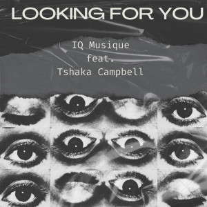 ดาวน์โหลดและฟังเพลง Looking For You (Acapella) พร้อมเนื้อเพลงจาก IQ Musique