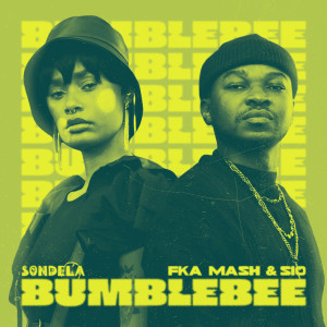 Album Bumblebee from Fka Mash