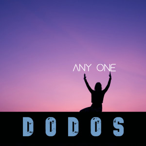 Album Any One oleh Dodos