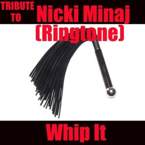 ดาวน์โหลดและฟังเพลง Whip It Intro (Cover) พร้อมเนื้อเพลงจาก The Beat Mechanics