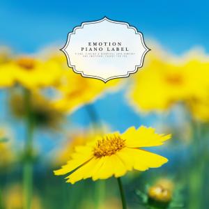 Album Warm New Age Piano Music for Happiness from Various Artists