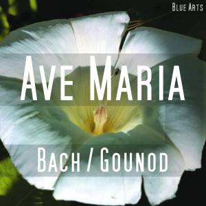 Ave Maria ( Bach , Gounod )的專輯Ave Maria ( Bach , Gounod )