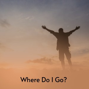 Various的专辑Where Do I Go?