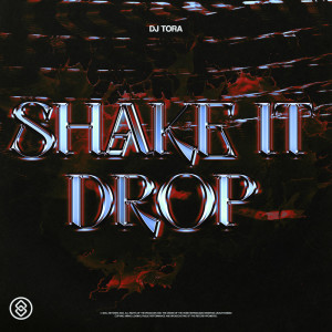 DJ TORA的專輯Shake It Drop