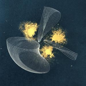 default album img