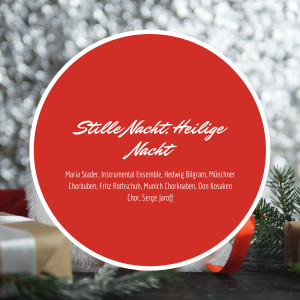 Instrumental Ensemble的專輯Stille Nacht, Heilige Nacht