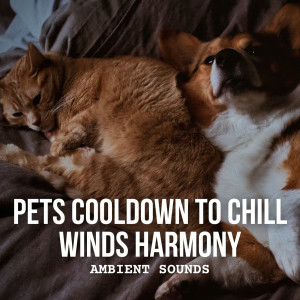 Album Ambient Sounds: Pets Cooldown to Chill Winds Harmony from Wp Sounds