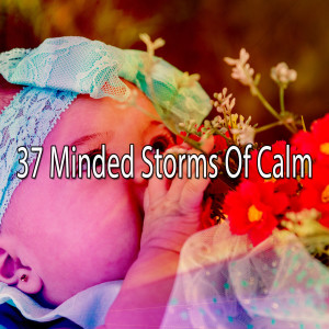Listen to Rain on the Brain song with lyrics from Rain Sounds