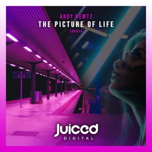 Listen to The Picture of Life (Radio Edit) song with lyrics from Andy Newtz