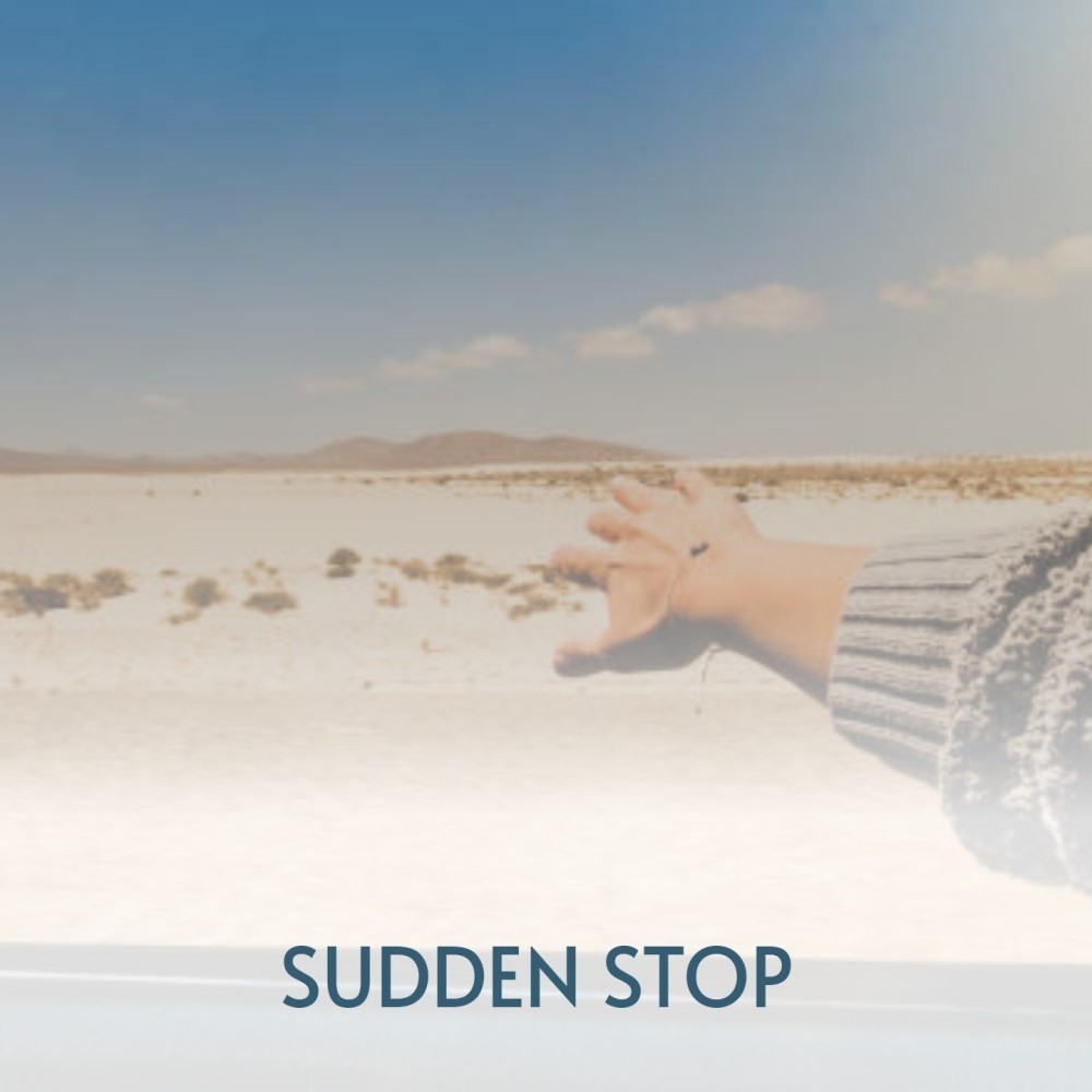 Sudden Stop