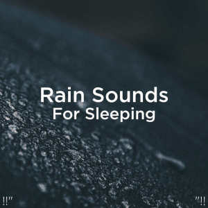 Dengarkan lagu Rain For Sleeping nyanyian Rain Sounds dengan lirik