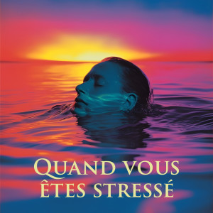 收聽Sophrologie Musique D'ambiance的Observation des nuages歌詞歌曲