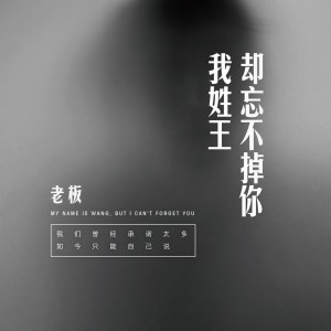 收聽老闆的我姓王，卻忘不掉你歌詞歌曲