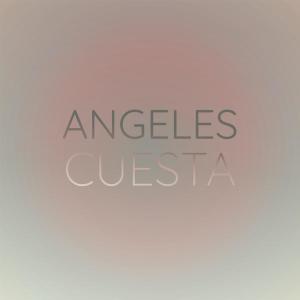 Album Angeles Cuesta from Various