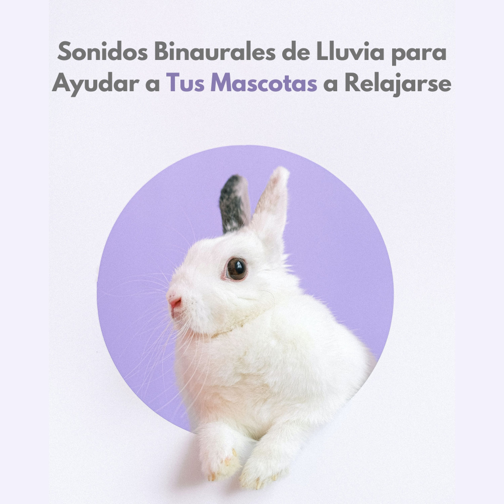 Mascotas Felices