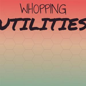 อัลบัม Whopping Utilities ศิลปิน Various