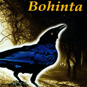 ดาวน์โหลดและฟังเพลง Bonnie Winds พร้อมเนื้อเพลงจาก Bohinta