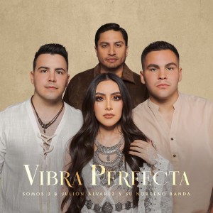 Julión Álvarez Y Su Norteño Banda的專輯Vibra Perfecta