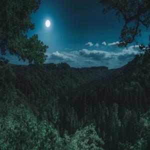 Listen to Green Apple (Instrumental) song with lyrics from Alonzo