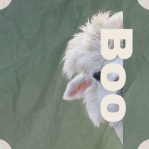 收听Booker Ervin的Boo歌词歌曲