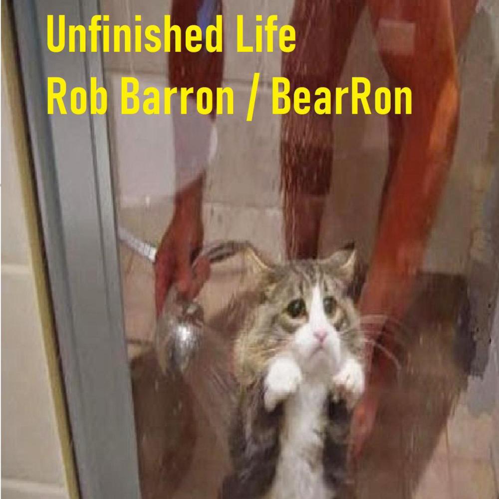 Unfinished Life