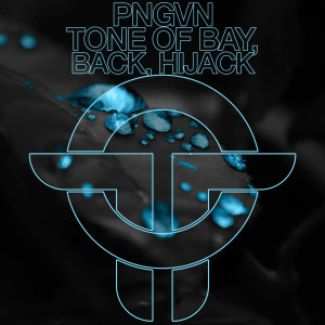 อัลบัม Back / Tone Of Bay / Hijack ศิลปิน PNGVN