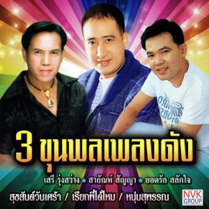 ดาวน์โหลดและฟังเพลง ผิดหรือที่ขี้เหร่ พร้อมเนื้อเพลงจาก เสรี รุ่งสว่าง