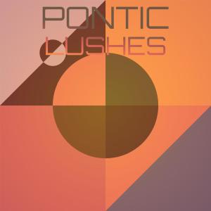 Pontic Lushes dari Various