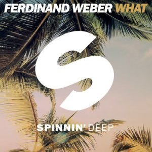 ดาวน์โหลดและฟังเพลง What พร้อมเนื้อเพลงจาก Ferdinand Weber