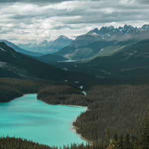 Listen to Pure Relaxation Music for Sleeping song with lyrics from Deep Sleep