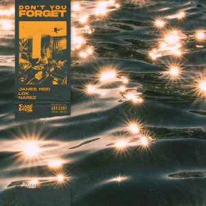 Listen to Don't You Forget (Explicit) song with lyrics from Careless