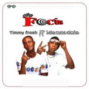 Timmy Frosh的專輯Stay Focus