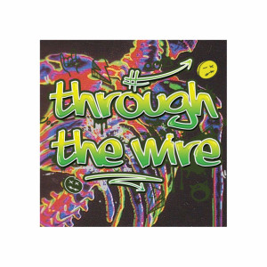 Album Through the Wire from DJ Black