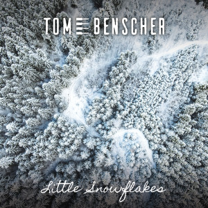 Listen to Little Snowflakes (Piano Version) song with lyrics from Tom Benscher