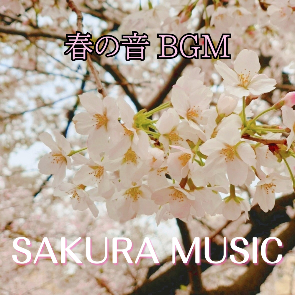 桜舞う空と美しいピアノの音