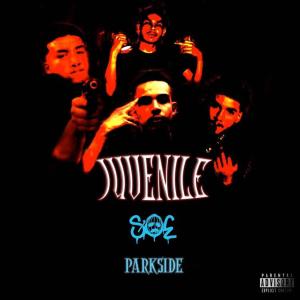 Dengarkan JUVENILE (Explicit) lagu dari JSAVAGESOE dengan lirik