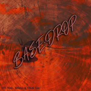 Listen to Base Drop song with lyrics from PYY Log Drum King