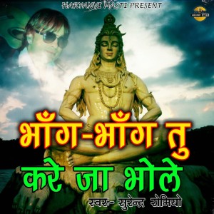 ดาวน์โหลดและฟังเพลง Bhang Bhang Tu Kare Ja Bhole พร้อมเนื้อเพลงจาก Surender Romio